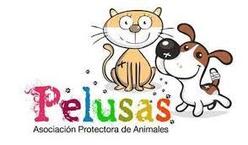 Descarga