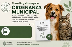 Ordenanza