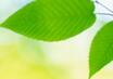 Blog Medioambiente
