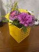 Img 20250804 Wa0018