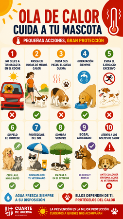 Rediseño Stories (7)