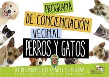 Folleto Perros Y Gatos Web