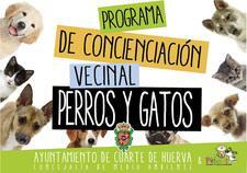 Folleto Perros Y Gatos Web