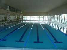 Piscina Cubierta Teresa Perales
