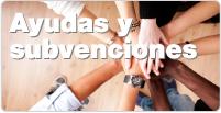 Ayudas Y Subvenciones