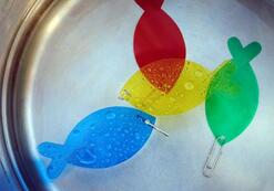 Juego Agua Pesca